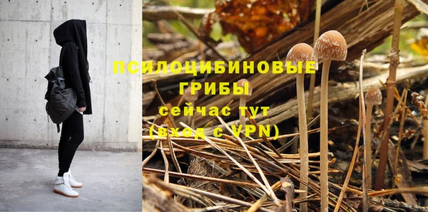 ПСИЛОЦИБИНОВЫЕ ГРИБЫ Покачи