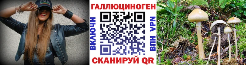 наркошоп Чёрмоз Галлюциногенные грибы прущие грибы